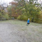 DSC03260
