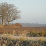 DSC03436
