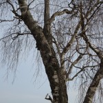 DSC03802