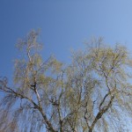 DSC03890