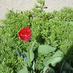 DSC03900