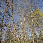 DSC03911