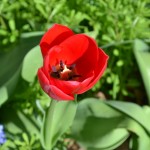 DSC_0007