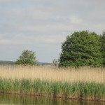 DSC04091