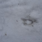 DSC04595