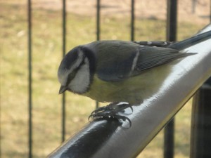 DSC04864