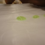 DSC04947