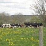 DSC05017