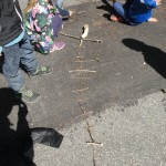 DSC05084