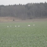 DSC05622