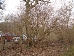 DSC05757