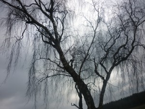 P1020090